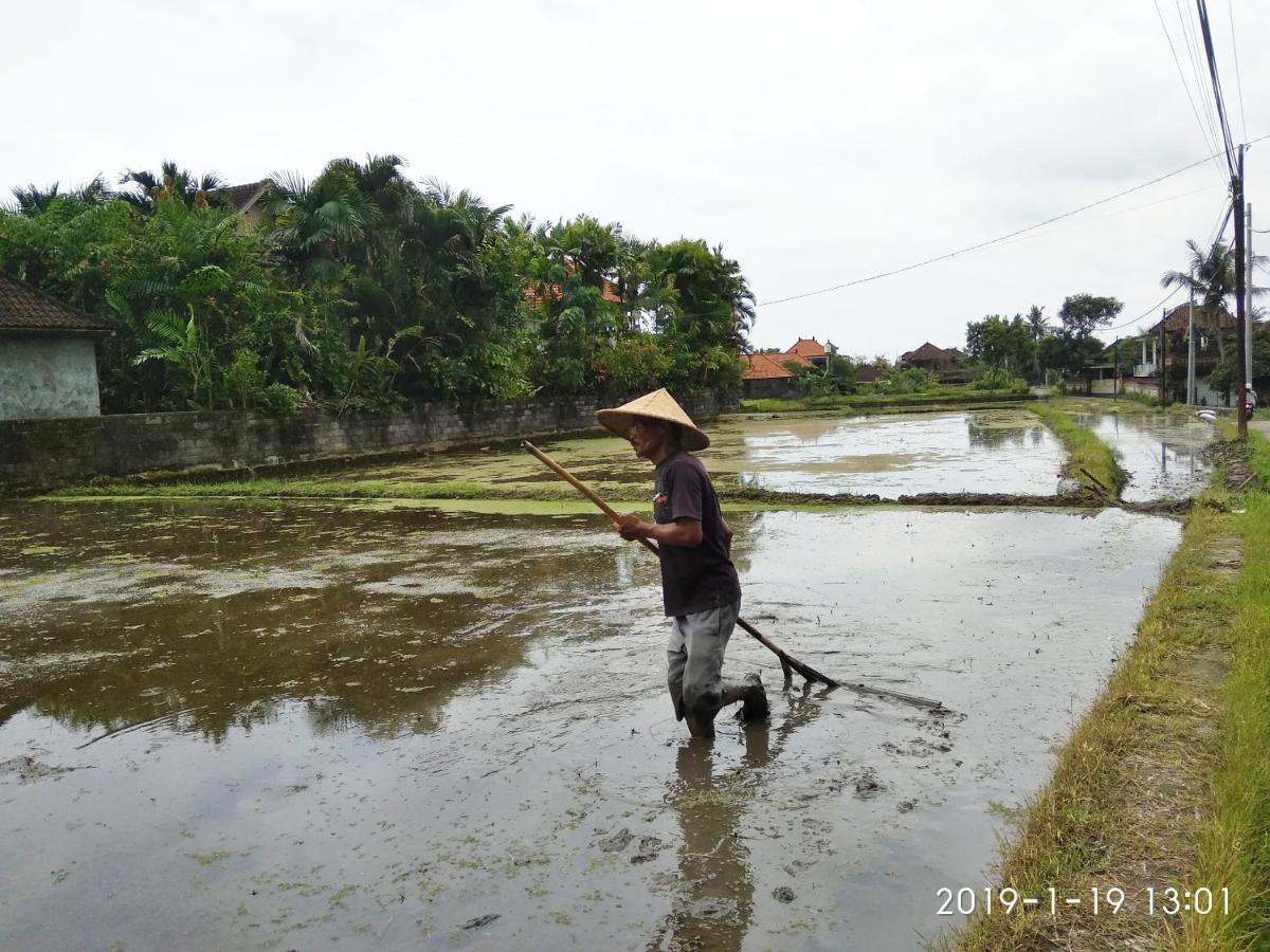 Bhuana Alit 2 Ubud Exteriér fotografie