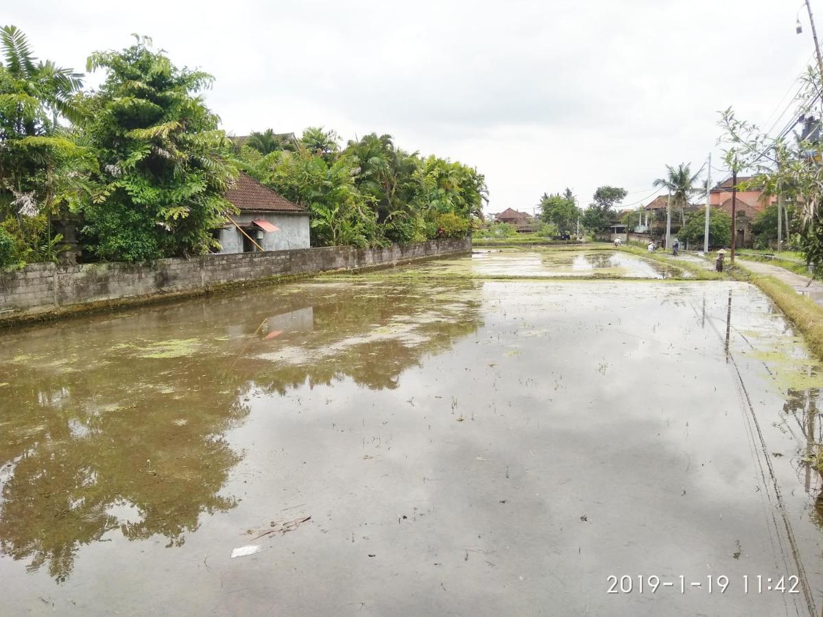 Bhuana Alit 2 Ubud Exteriér fotografie