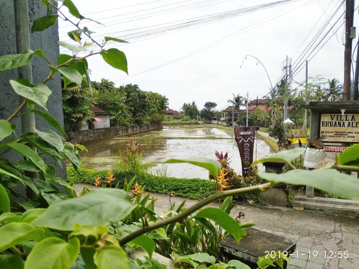 Bhuana Alit 2 Ubud Exteriér fotografie