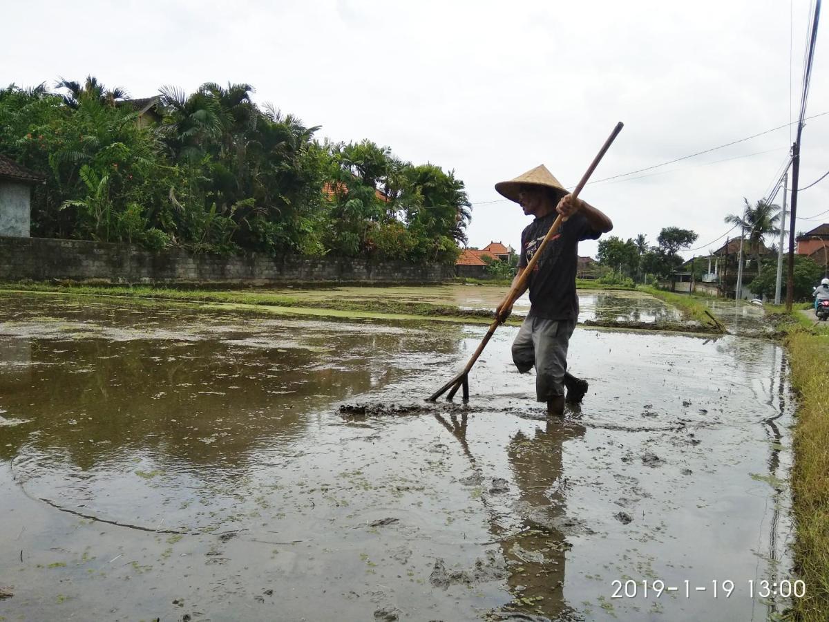 Bhuana Alit 2 Ubud Exteriér fotografie