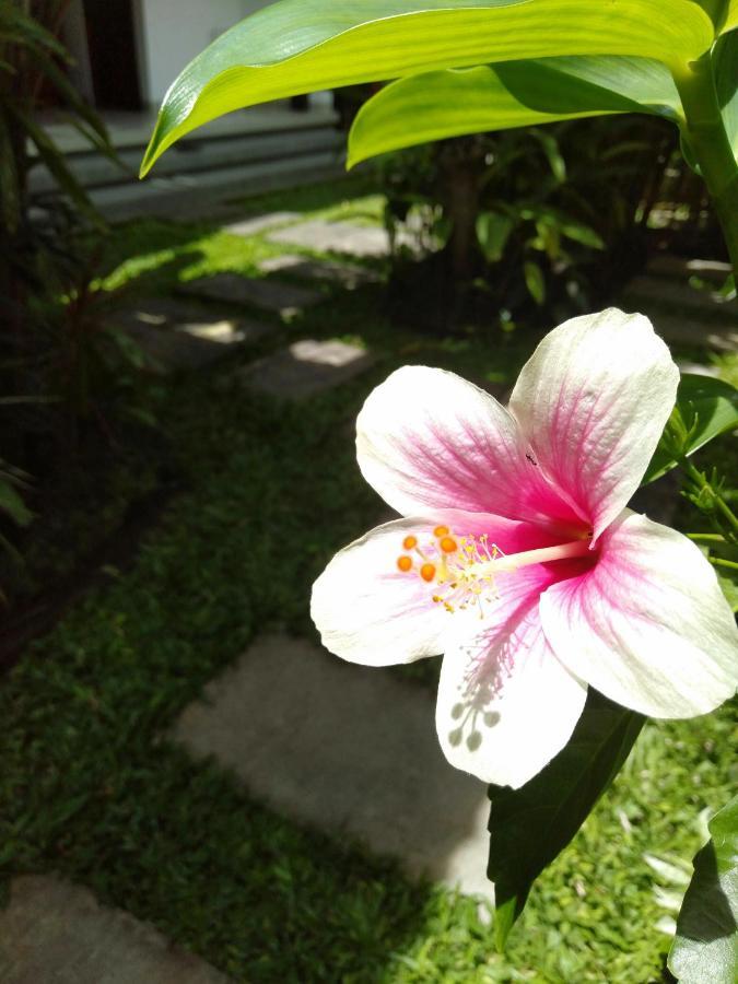 Bhuana Alit 2 Ubud Exteriér fotografie